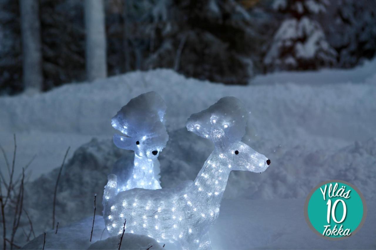 YlläsjärviYllaestokka 10公寓 外观 照片